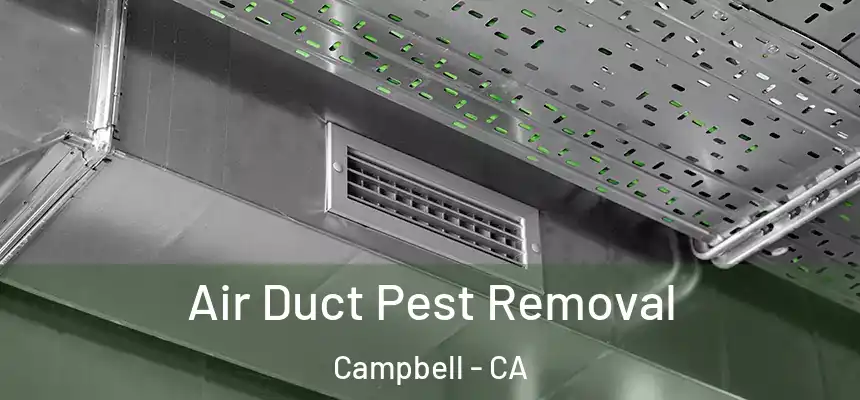  Air Duct Pest Removal Campbell - CA