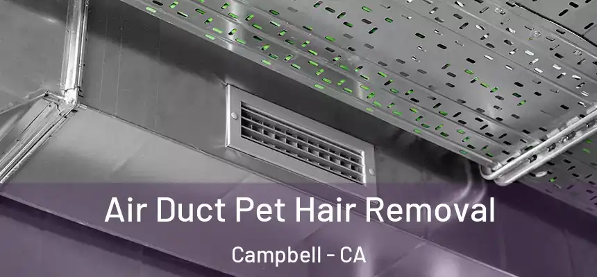  Air Duct Pet Hair Removal Campbell - CA