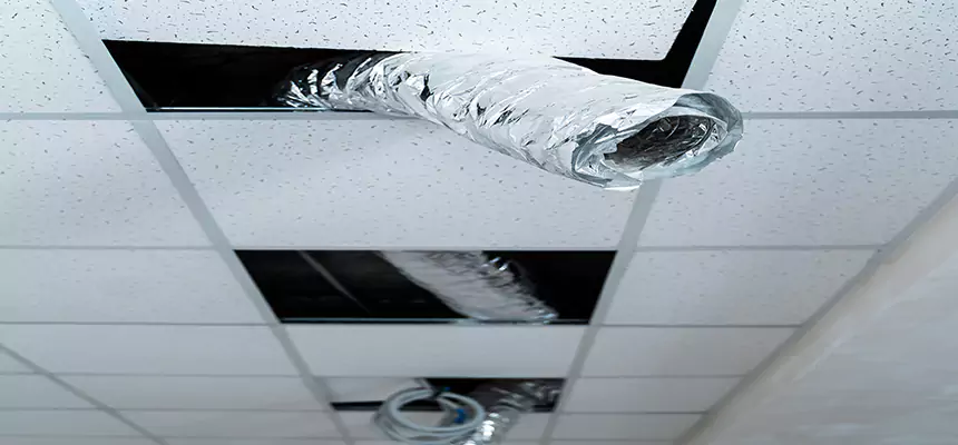 Affordable HVAC Sanitizing After Pest Removal in Campbell