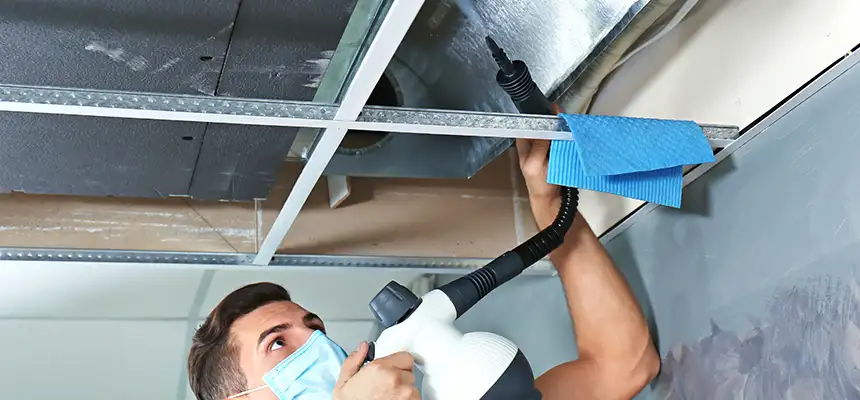 Our Air Duct Rodent Removal Services in Campbell, CA