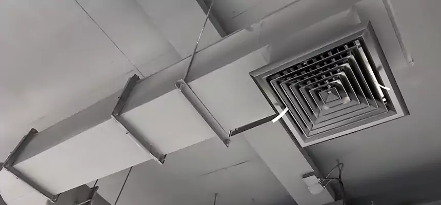 Our Pest Removal From Ducts Services in Campbell, CA