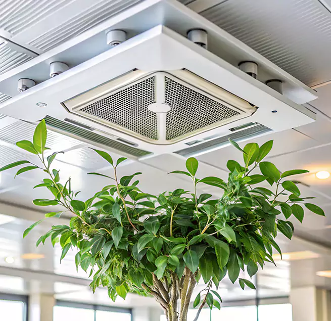 Why Homeowners & Businesses Trust Us in Campbell, CA?