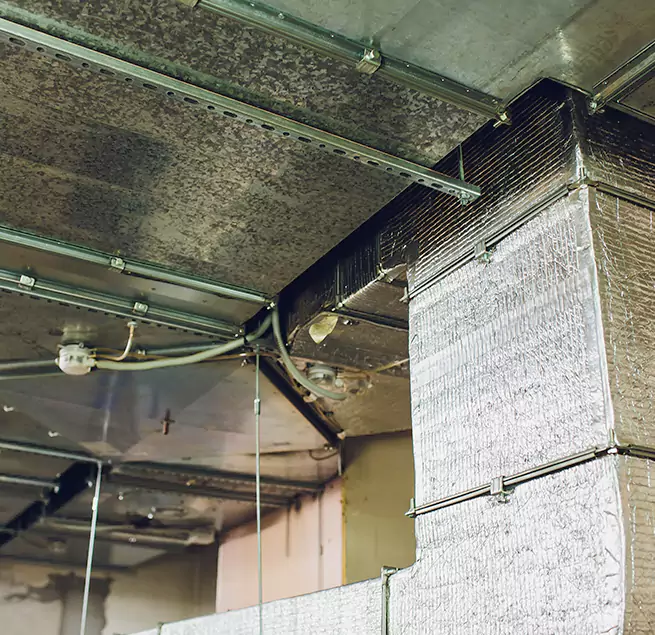 Why Homeowners & Businesses Trust Us in Campbell, CA?