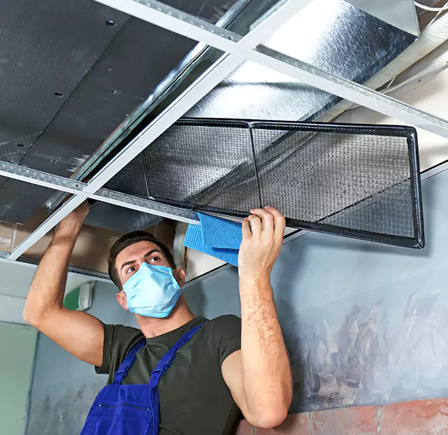 Why Homeowners & Businesses Trust Us in Campbell, CA?